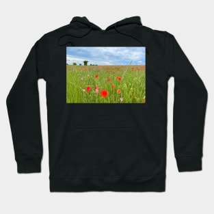 Poppy Field, Cotswolds Hoodie